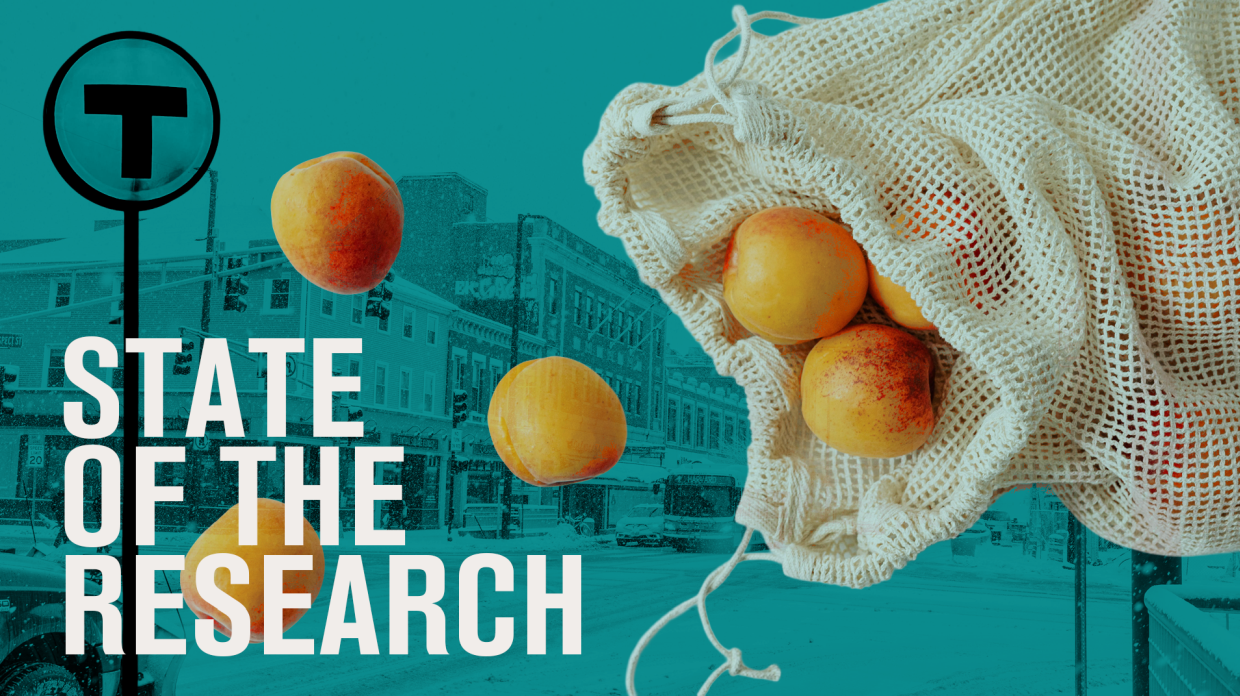 State of the Research