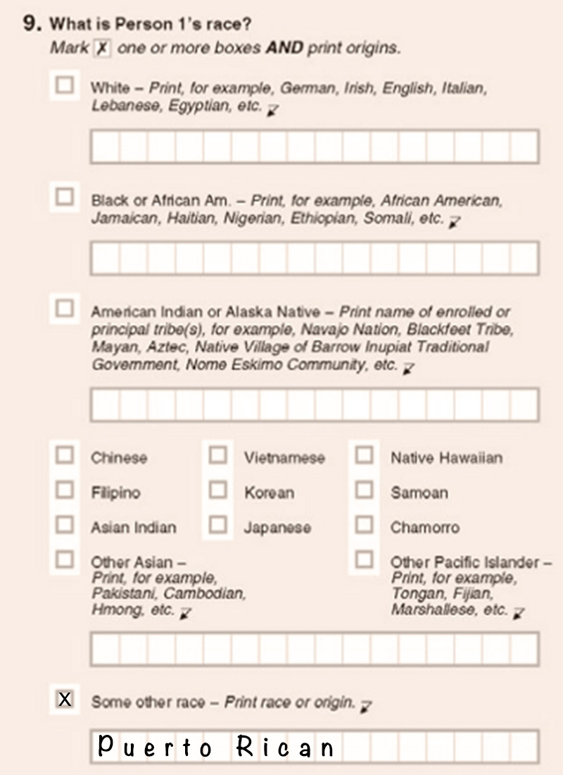 Puerto Rican - Some Other Race