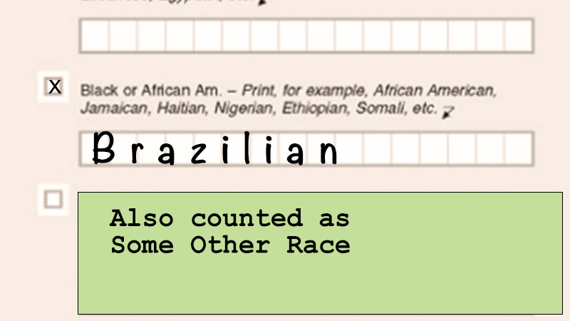 Brazil census form